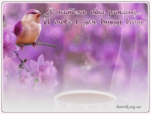 Gif greeting cards: Greetincards online