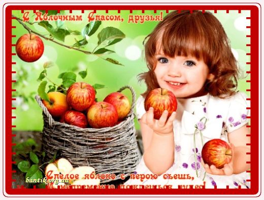 Gif greeting cards: Fivbelow greetincards
