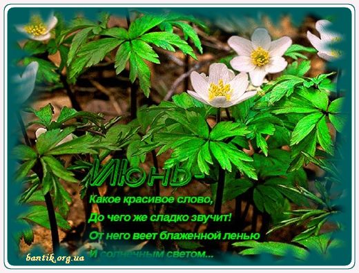 Gif greeting cards: Greetinapproach