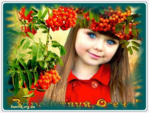 Gif greeting cards: 15 ideas for a friends greetings