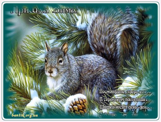 Gif greeting cards: And let him be lucky in love