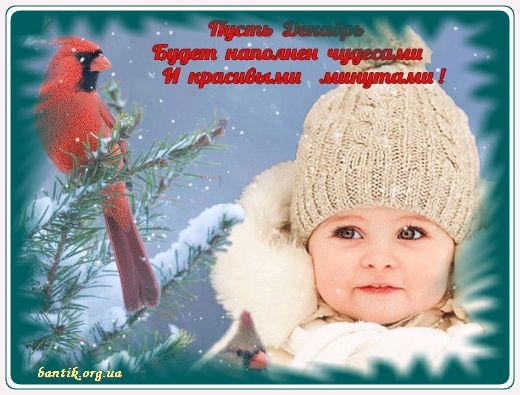 Gif greeting cards: And let the dreams come true