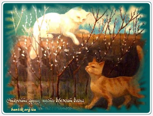 Gif greeting cards: Good moning