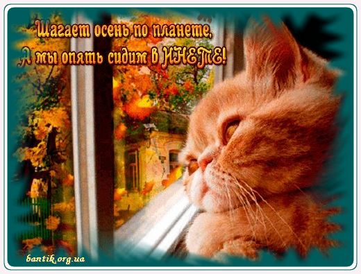 Gif greeting cards: Greeting cards congratulations on the spring