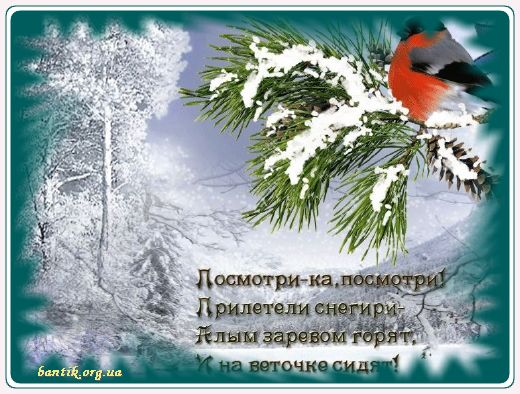 Gif greeting cards: 5 below greetincards