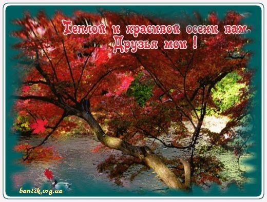 Gif greeting cards: Bday greetings