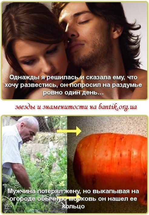      ,   ,        |   ,          
