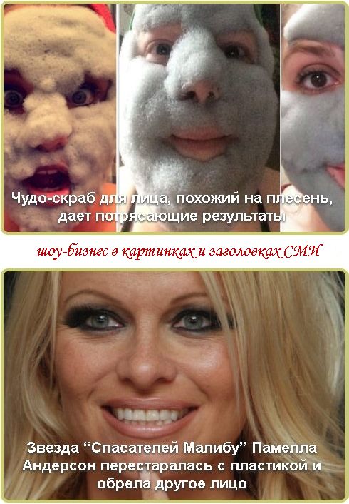 -  ,   ,    |            