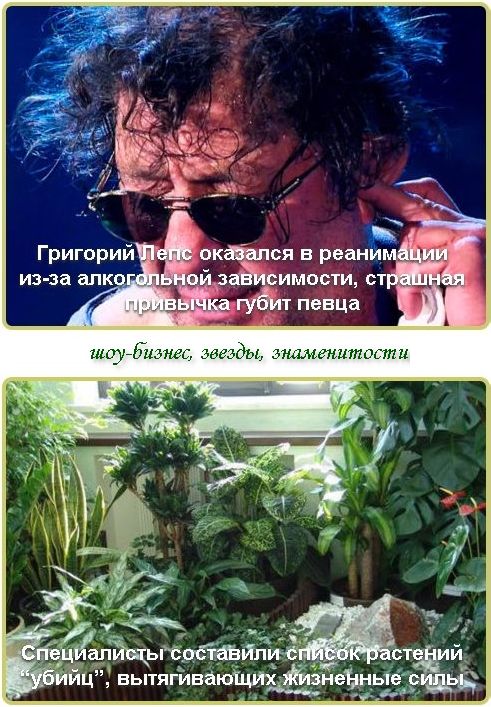      -  ,     |     ,   